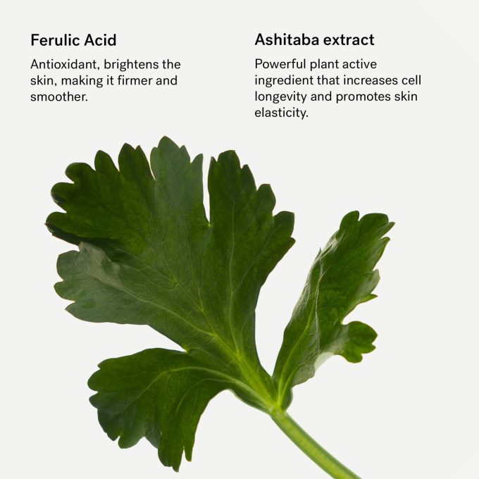 Antioxidant Serum with