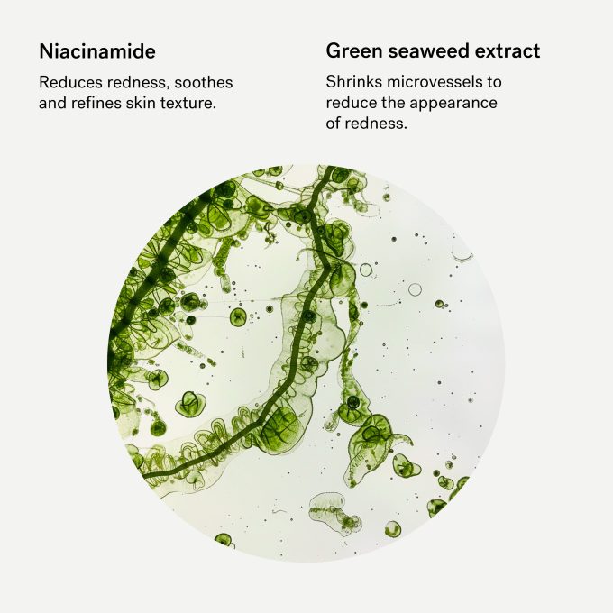 Color Corrector for Redness