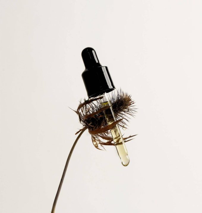 Firming Night Serum