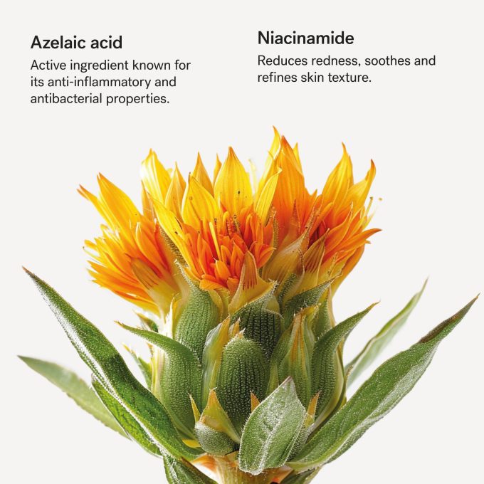 Redness Relief Face Moisturizer