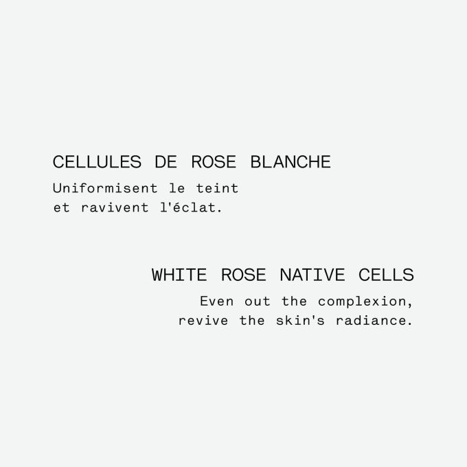 Radiance Night Serum